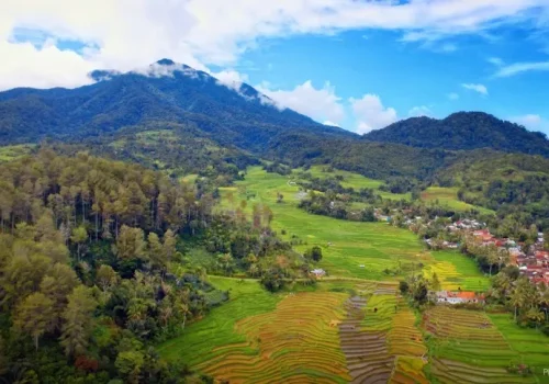 kampung-merasa